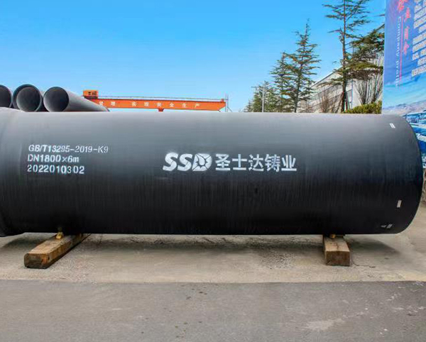 ed_1655965991582115.jpg 10.jpg